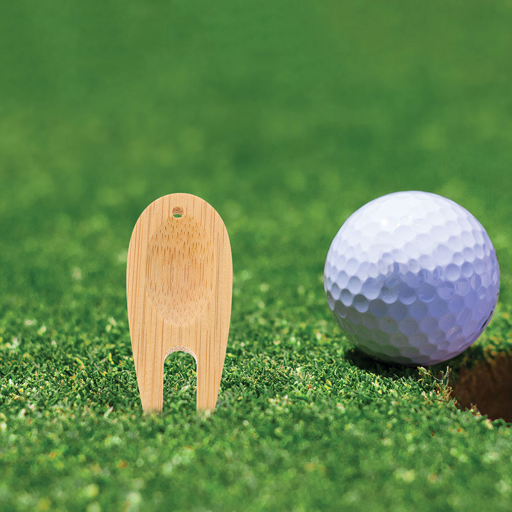 12Pcs Wooden Golf Divot Repair - Divot Repair Tool 评论和价格